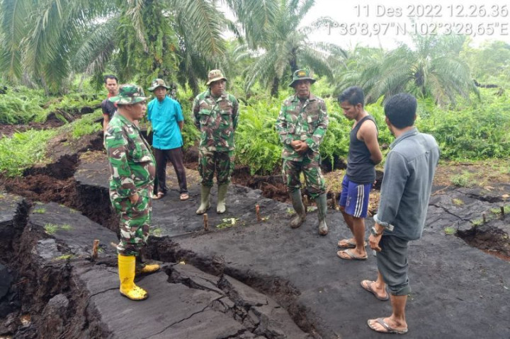 Ribuan Hektare Lahan Perkebunan di Bangkalis Amblas Terdampak Abrasi