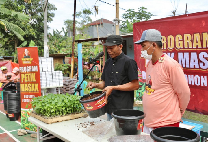 Antisipasi Harga Meroket, Ratusan Bibit Cabai Dibagikan ke Warga Ciracas