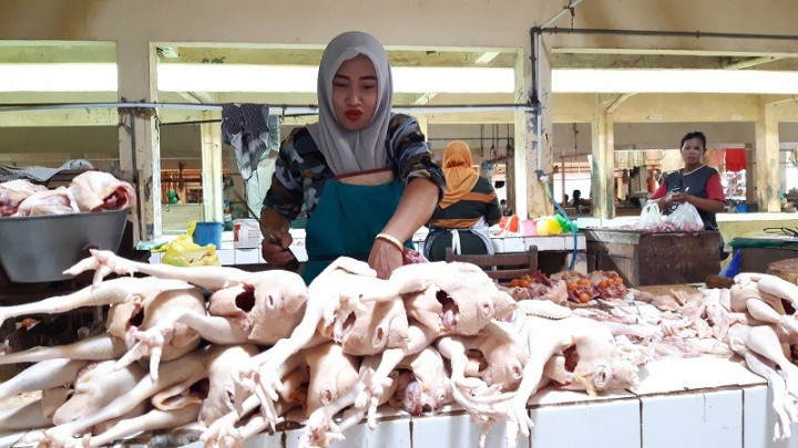 Stok Daging Ayam dan Sapi di Sumut Dijamin Cukup Jelang Nataru