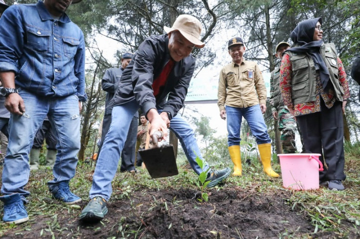 Perkuat Pariwisata, 283 Ribu Pohon Kopi Ditanam di Dieng
