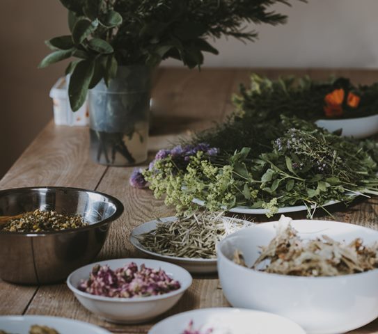 Berharap Lebih Bisa Memanfaatkan Potensi Alam, BPOM Berikan Pengawalan Riset