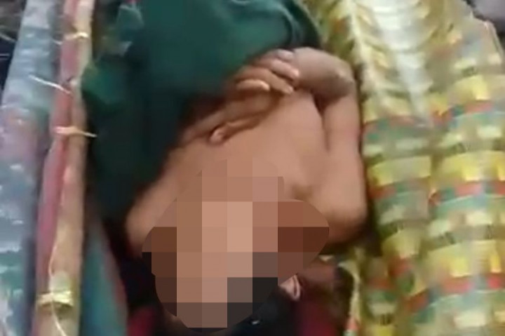 Seorang Warga Siak Riau Tewas Diterkam Harimau Sumatra