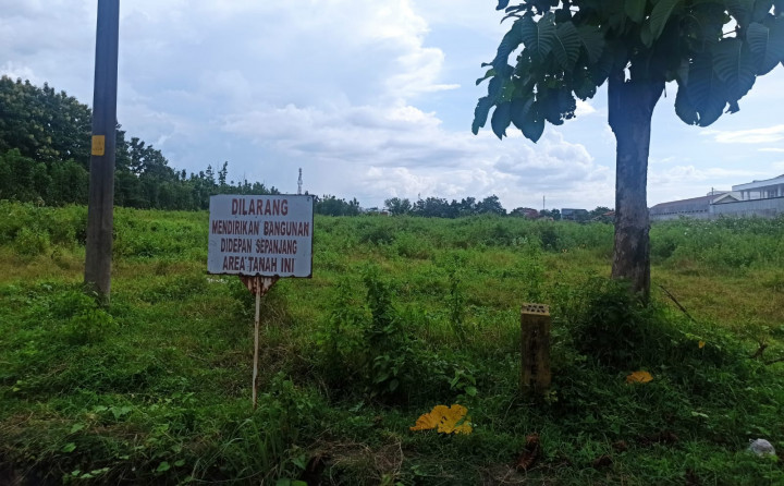 Lokasi Calon Rumah Presiden Jokowi dari Negara Berada di Kawasan Strategis
