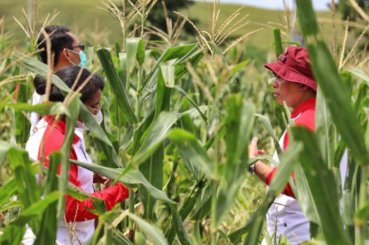 Perkuat Ketahanan Pangan, BIN Bina Pemuda Papua Geluti Pertanian dan Perikanan