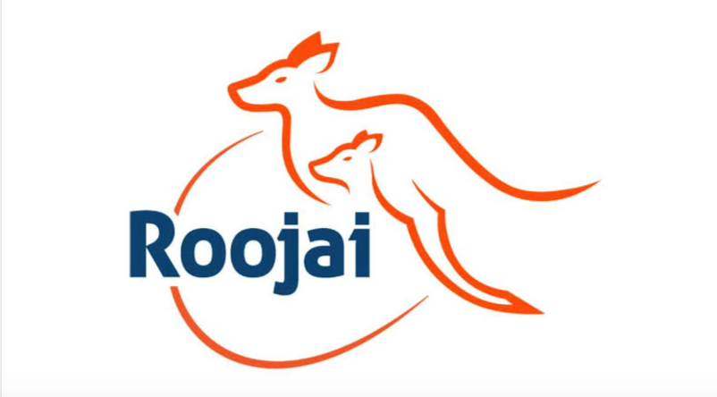 Roojai telah bermitra dengan Sompo Insurance Indonesia untuk menyediakan layanan asuransi online (Foto:Dok)