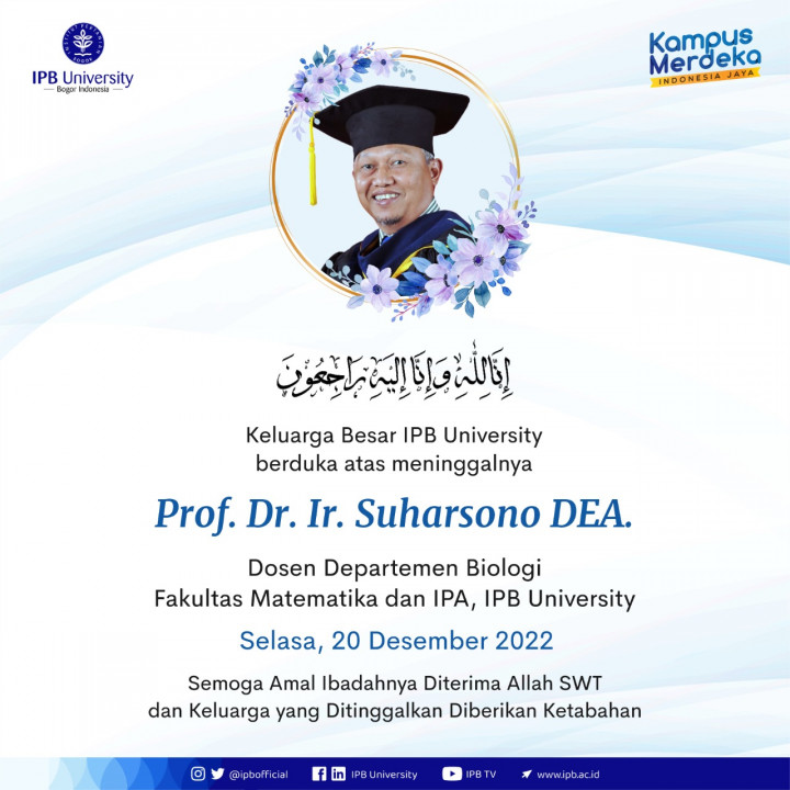 Inovator Varietas Kentang Unggul IPB, Suharsono Meninggal Dunia