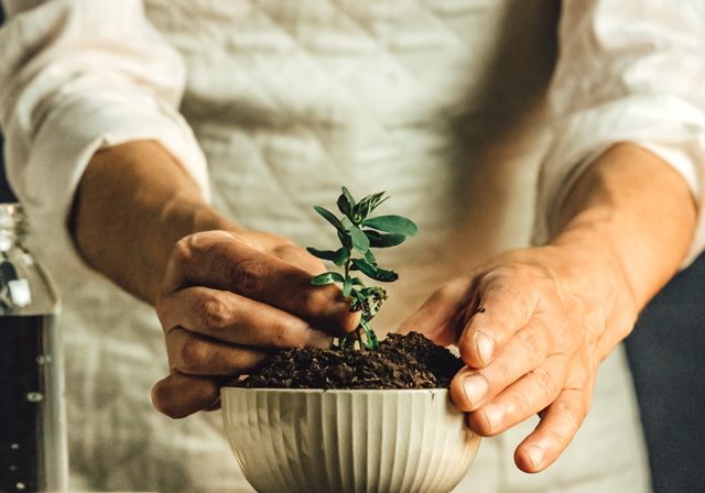 3 Akun Ini Bisa Jadi Inspirasi Ibunda Kamu yang Suka Bercocok Tanam