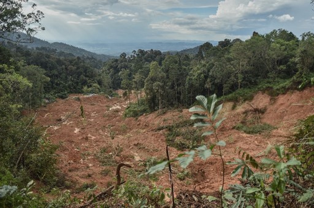 Lokasi insiden tanah longsor di Batang Kali, Selangor, Malaysia, 16 Desember 2022. (Arif Kartono / AFP)