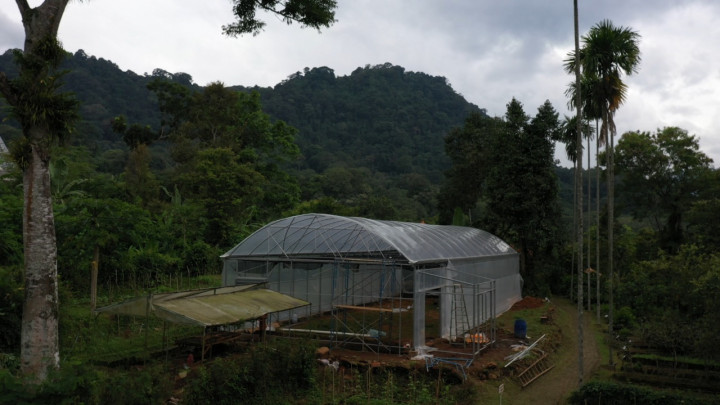 Pertanian Modern ala Smart Green House, Tingkatkan Produksi Hortikultura dan Gaet Petani Milenial
