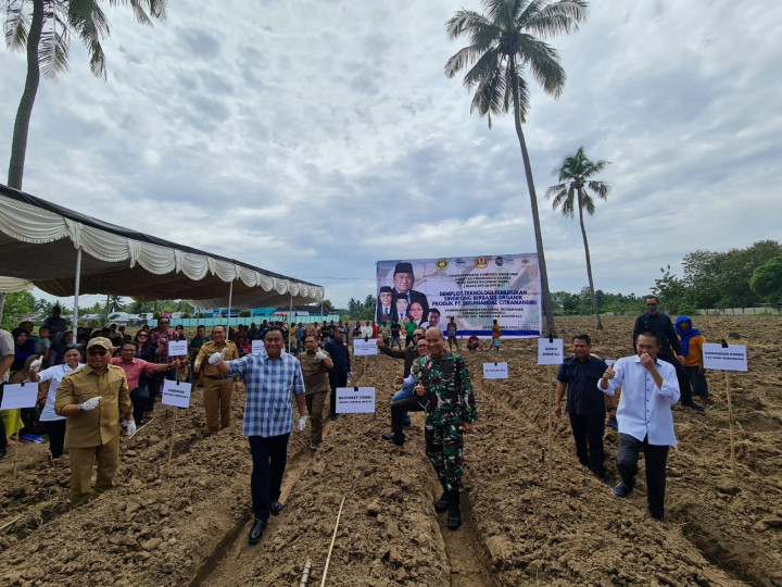 Tanam Singkong Organik, Gobel Ingin Sejahterakan Warga Gorontalo