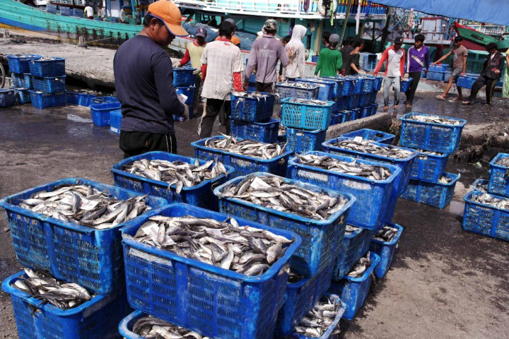 Imbas Cuaca Ekstrem, Produksi Perikanan Tangkap di Mukomuko Turun Jadi 19.699 Ton