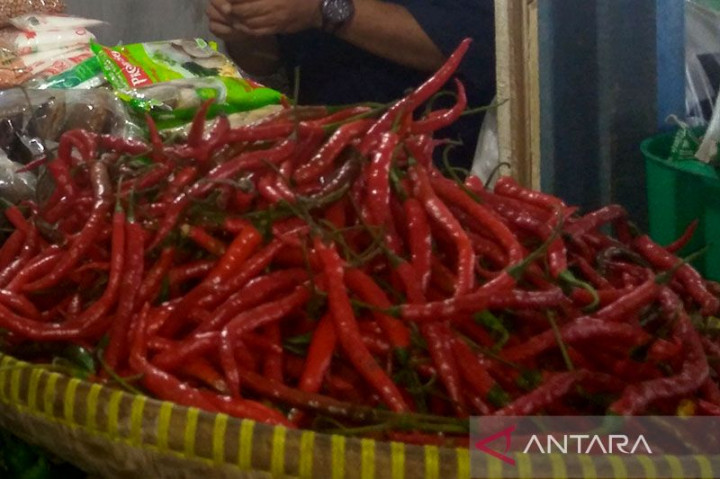 Harga Sejumlah Kebutuhan Masyarakat di Purwokerto Turun