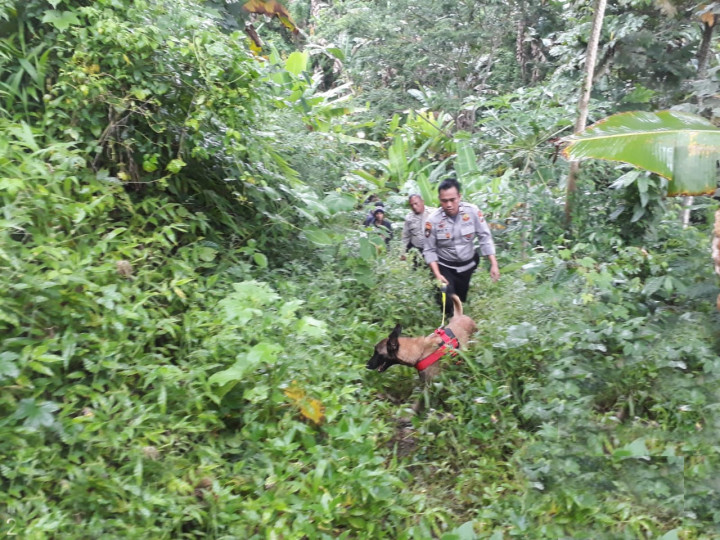 Polisi Kerahkan Anjing Pelacak Buru Pembunuh Wanita di Pelosok Hutan Malang