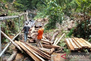 Pelaku Pembalakan Liar di Gunung Lengkuas Bintan Diburu