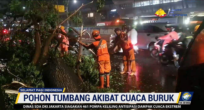 Pohon Setinggi 15 Meter Tubang di Tebet Akibat Diterjang Angin Kencang
