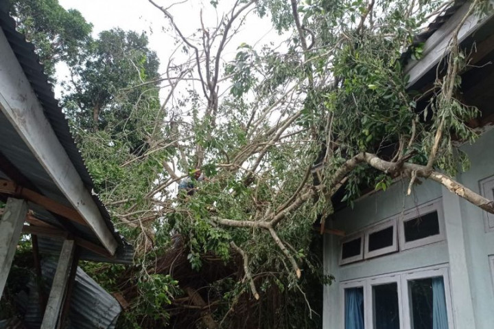 RSUD hingga 39 Rumah di Flotim Rusak Diterjang Angin Kencang