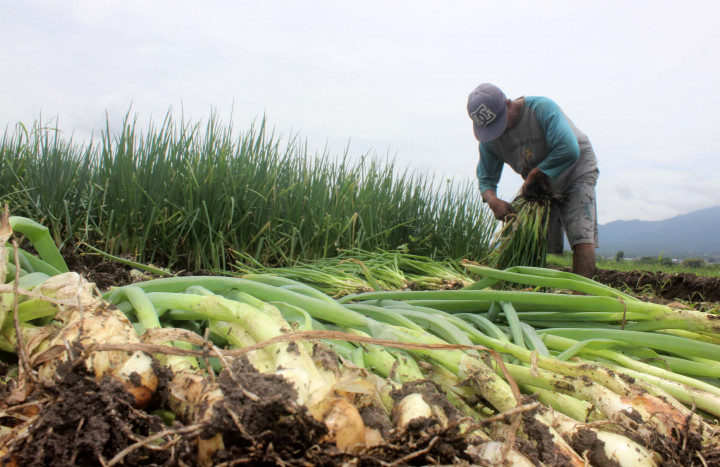 Apa Arti Inflasi bagi Petani?