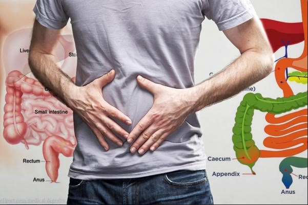 Sembelit dan Masuk Angin? Pentingnya Mendetoks Usus untuk Kesehatan