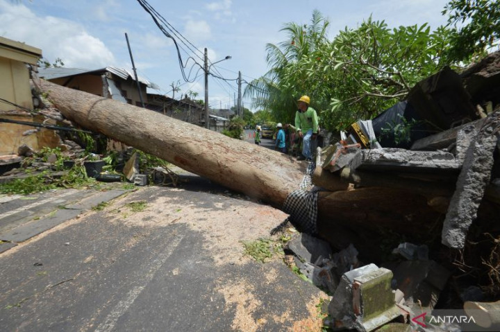 Bali Berpotensi Dilanda Angin Kencang hingga 46 Km/jam
