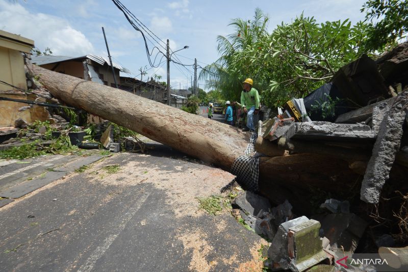 Bali Berpotensi Dilanda Angin Kencang hingga 46 Km/jam