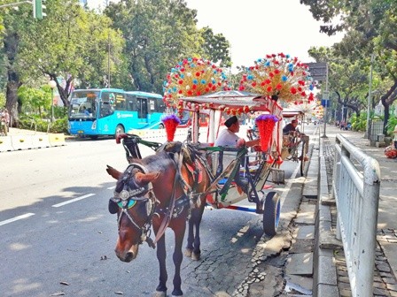 Delman Bakal Dilarang Beredar di Kawasan Monas, Thamrin, dan Bundaran HI