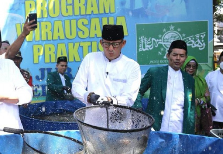 Cetak Omzet Belasan Juta, Sandiaga Panen Lele Bareng PWNU DKI