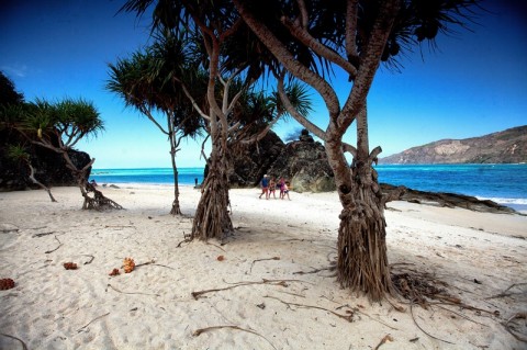 Cara Gubernur NTB Gaungkan Pariwisata Lokal