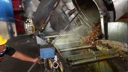 Prospek Besar Sawit Indonesia di Pasar Global