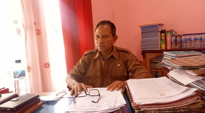 Flores Timur Akan Hapus 2.780 Tenaga Honorer