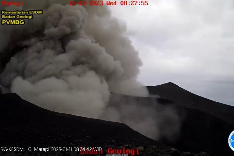 Kolom abu setinggi lebih kurang 800 meter keluar dari Gunung Marapi di Sumatera Barat, Rabu (11/1/2023). (FOTO ANTARA/HO-PVMBG)