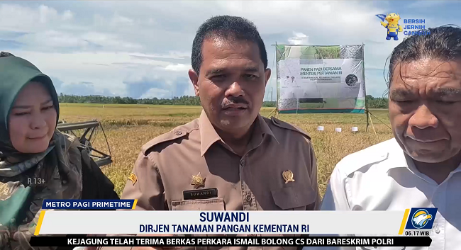 Banten Peringkat ke-8 Penghasil Beras Nasional