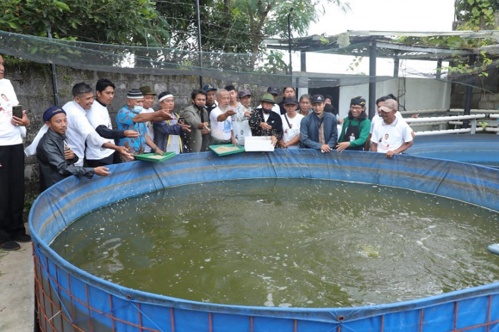 Pelatihan Budi Daya Ikan di Tasikmalaya Dorong Peluang Usaha