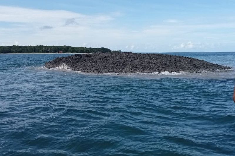 Fenomena pulau muncul di permukaan Desa Teinaman kecamatan Tanimbar utara paska gempa berkekuatan magnitudo 7,5. Antara Ho- Dokumentasi pribadi.