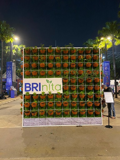 BRI Peduli Ajak Masyarakat Perkotaan Menanam Holtikultura di Lahan Padat Pemukiman