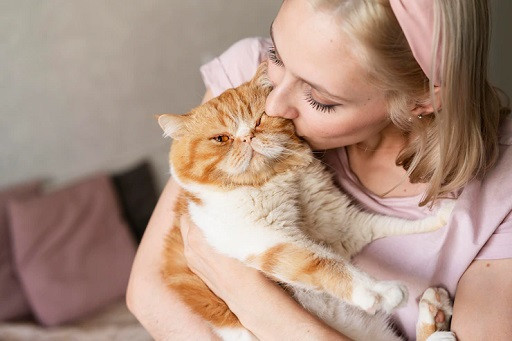 Berinteraksi dengan kucing disebut dapat memberikan rasa bahagia. (Foto: Ilustrasi. Dok. Freepik.com)