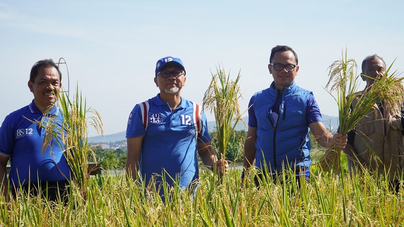 Mendag Panen Awal di Mulyaharja Bogor