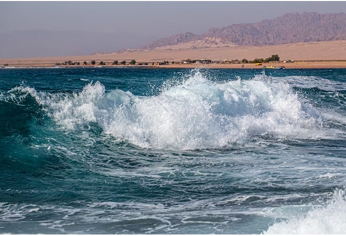 Prakiraan Gelombang Tinggi dan 5 Tips Berenang Dengan Aman di Laut