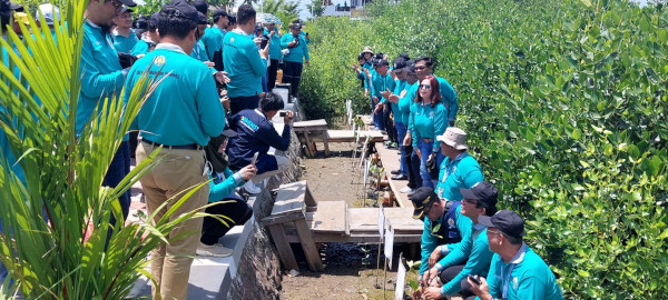 Ketapang Aquaculture Jadi Contoh Program IKA USU Menanam