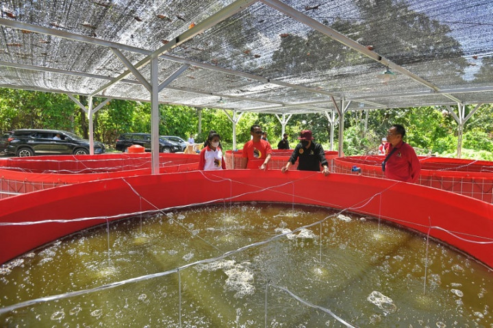 Pemuda di Jayapura Tebar Inspirasi untuk Pemberdayaan Masyarakat