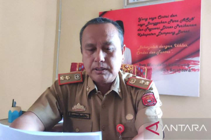 250 Ton Ikan di Danau Ranau Lampung Barat Mati