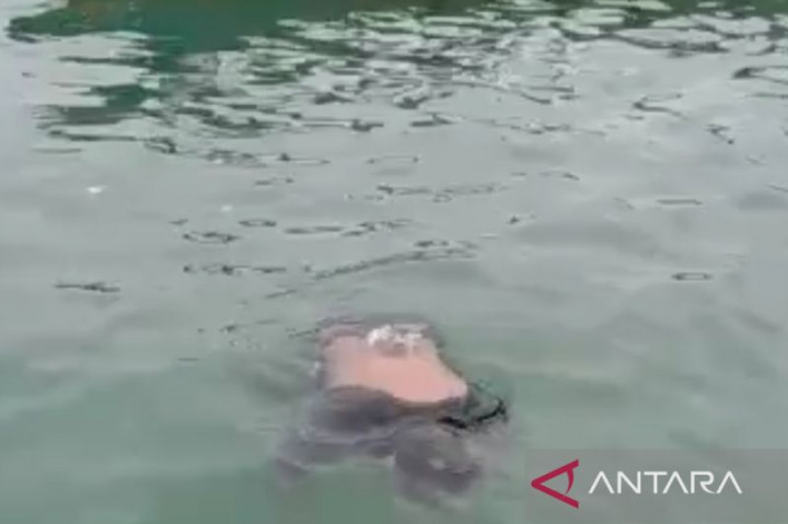 Jasad Seorang Pria Ditemukan Mengapung di Perairan Tanjungpinang