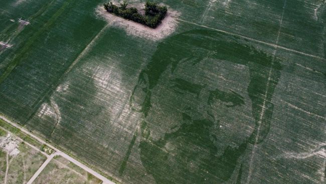 Di Kala Petani Menjadi Seniman, Wajah Lionel Messi Tumbuh di Ladang Jagung