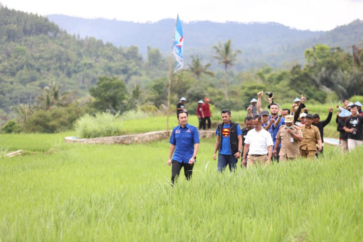 Ibas Dorong Desa Bandar Pacitan Menjadi Daerah Wisata