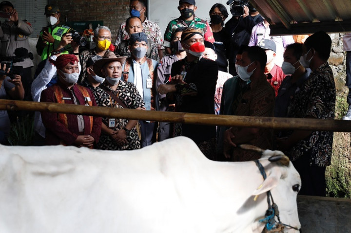Langkah Gubernur Jateng Cegah Penyebaran LSD