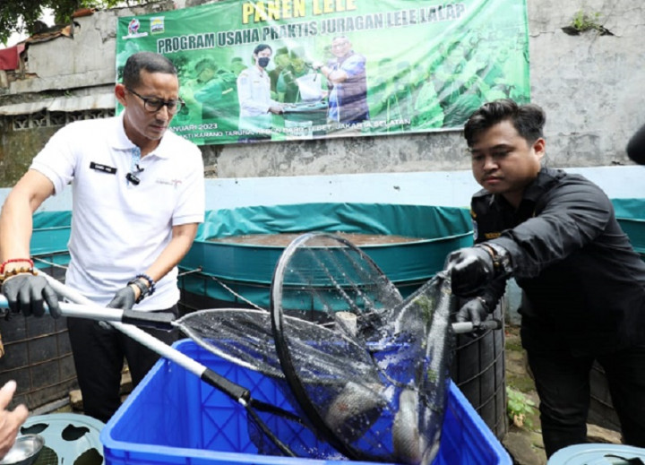 Panen Lele di Tebet, Menparekraf Dorong Pemuda Produktif