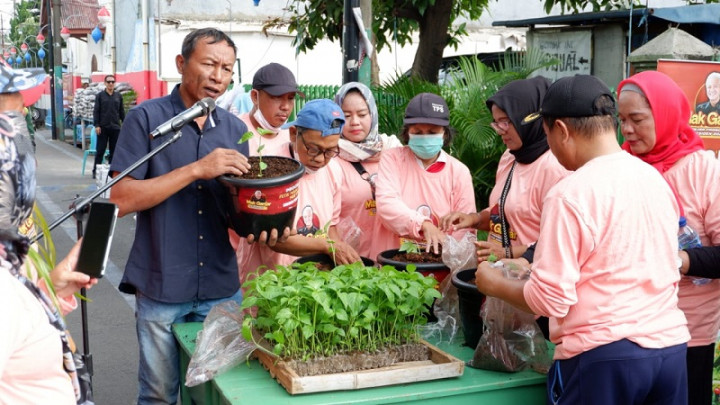 500 Bibit Pohon Cabai Disebar di Warakas Jakut