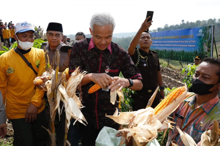 Perkuat Ketahanan Pangan, Ganjar Optimalkan Lahan Tidur Jadi Lahan Produktif