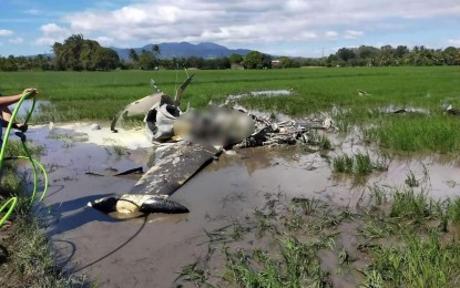 Pesawat Latih Militer Filipina Jatuh ke Sawah, Dua Pilot Tewas