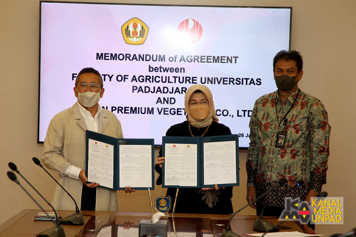 Unpad Gandeng JPV Budidaya Stroberi Asal Jepang