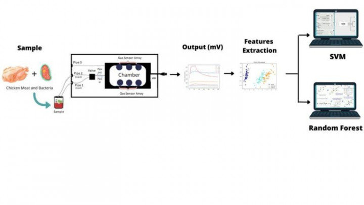 Aenose, Alat Deteksi Kualitas Daging Ayam Buatan Unair Terdaftar Hak Paten
